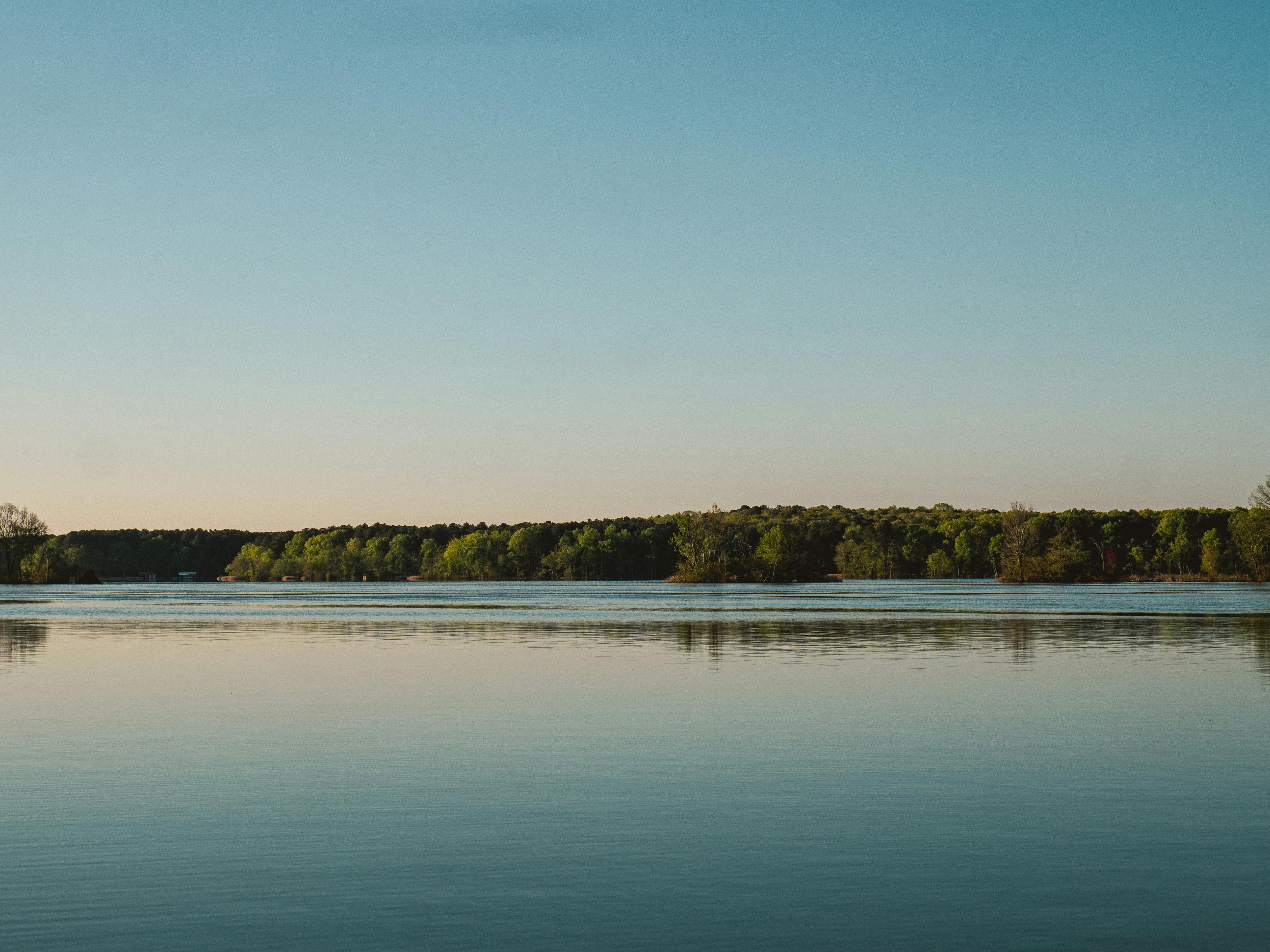 The Redbud | Cabin Seventeen