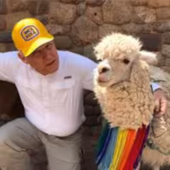 Celebrity Worthy 5/3.5 BR/Ba on Lake Hamilton  -- Paul