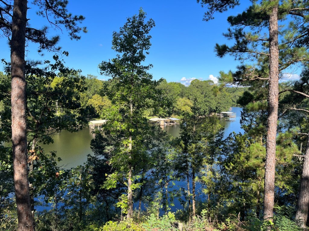 Additional photos image 5