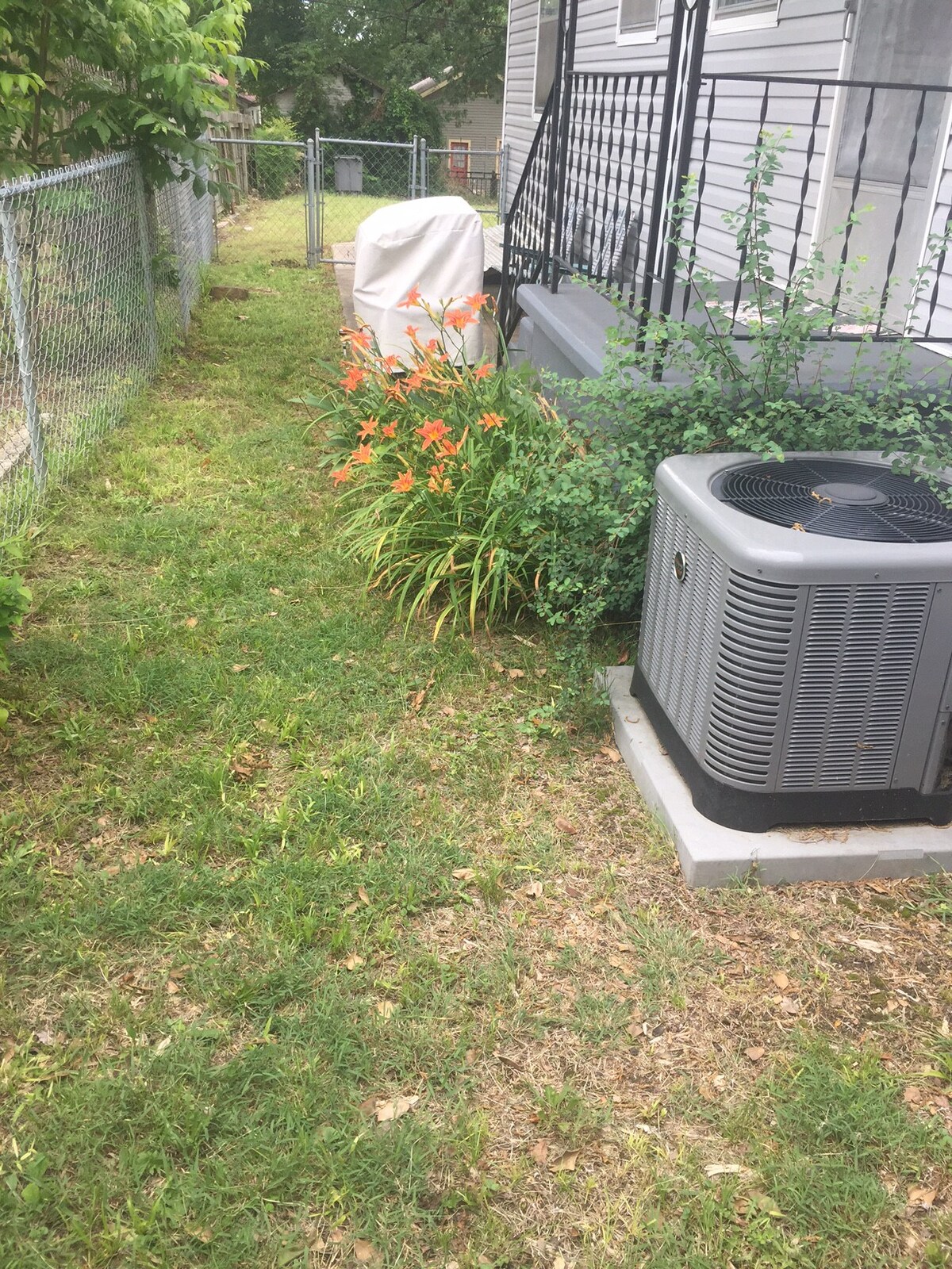 Fenced little Side Yard.