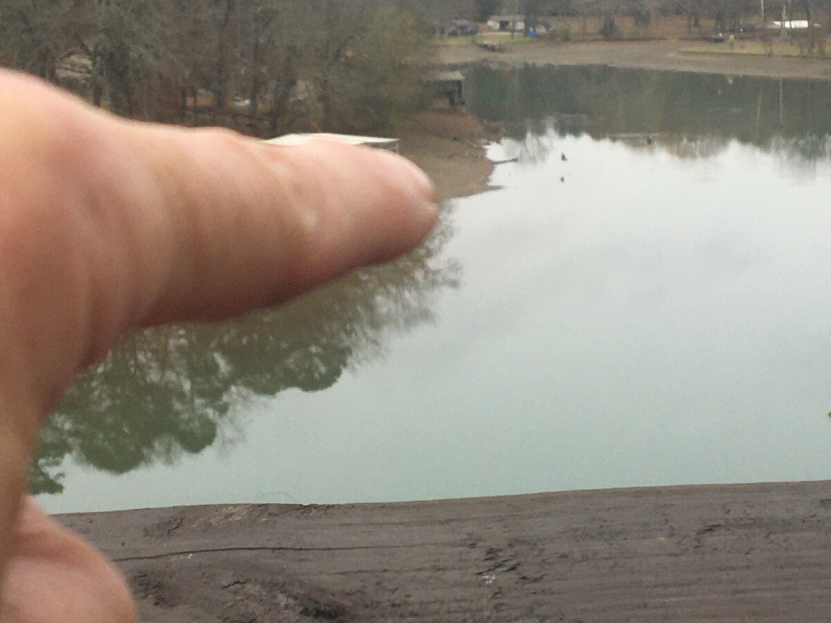 Eagles are here in the winter,

his one is sitting on a log having lunch